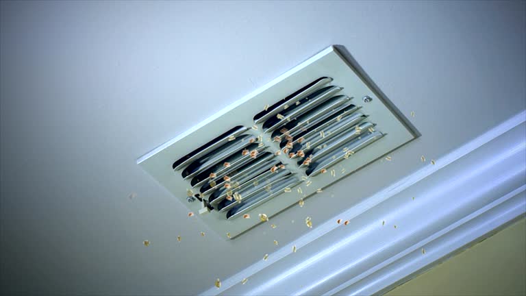 Best Local Air Duct Cleaning Services  in Holmen, WI