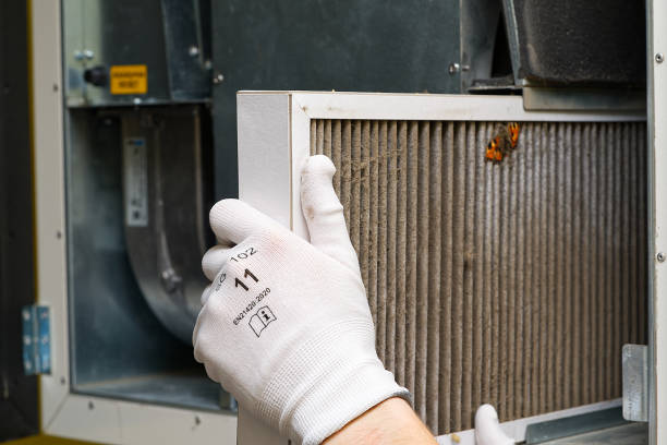 Best Air Duct Inspection  in Holmen, WI